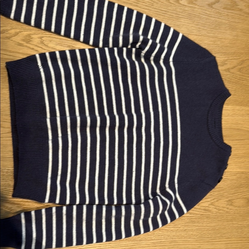 Navy and White Striped Sweater Zadig Voltaire